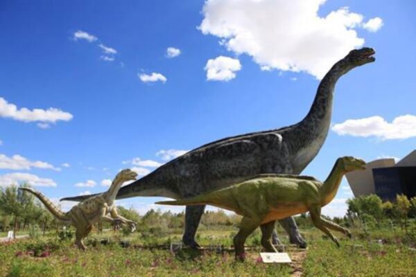 Japanese Dinosaur Park——Japan APPI Dinosaur Park