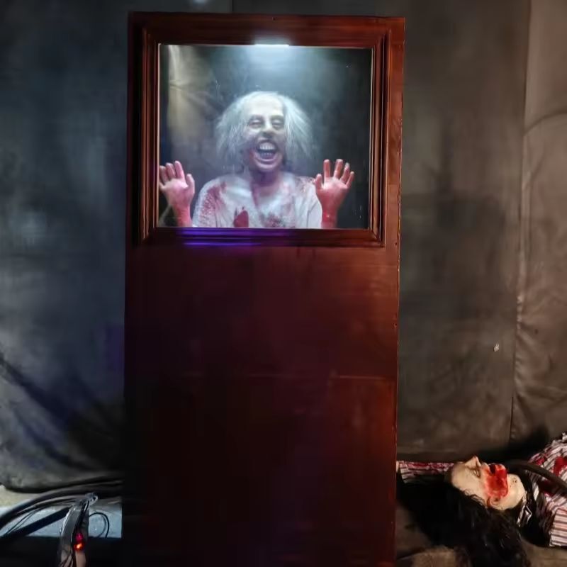 Mirror Ghost