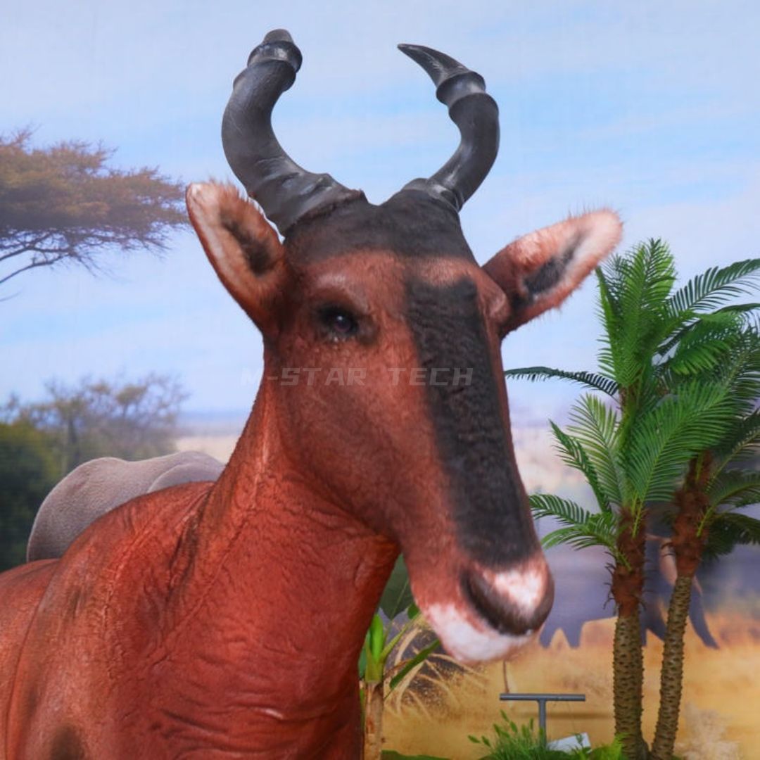Alcelaphus