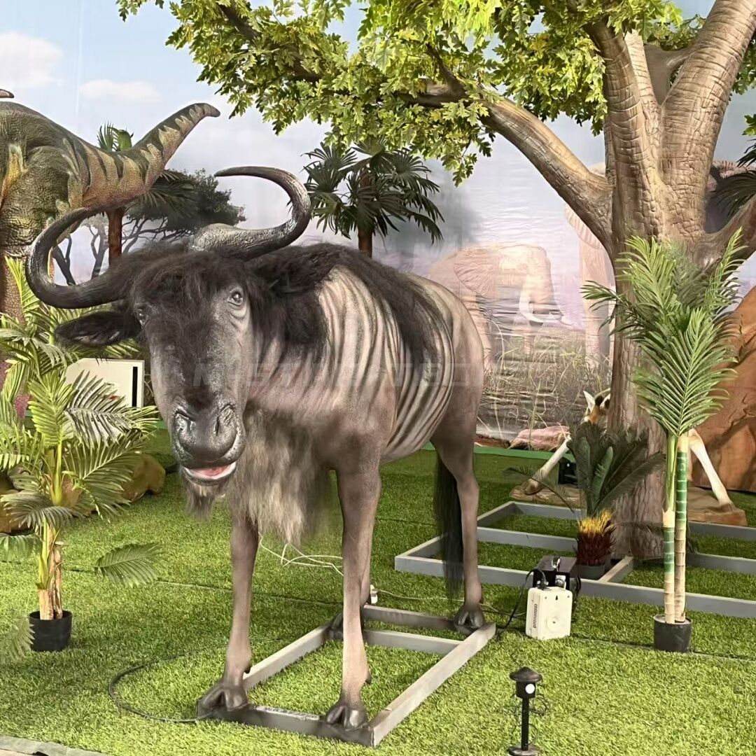 Blue Wildebeest
