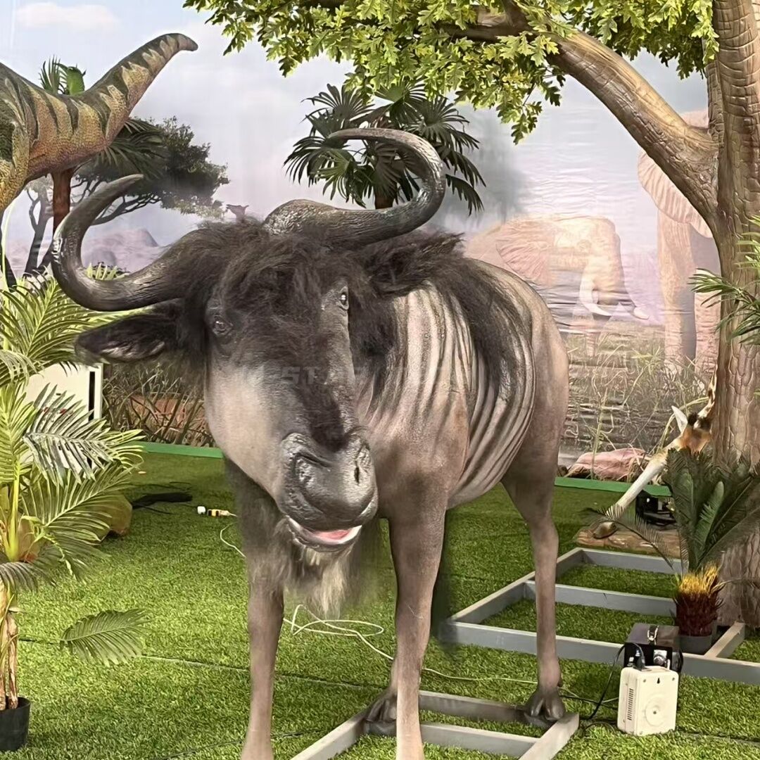 Blue Wildebeest