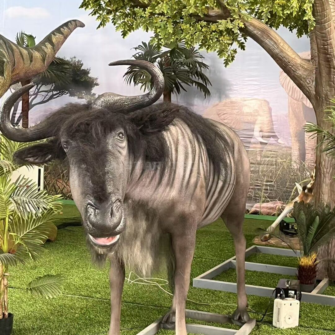 Blue Wildebeest