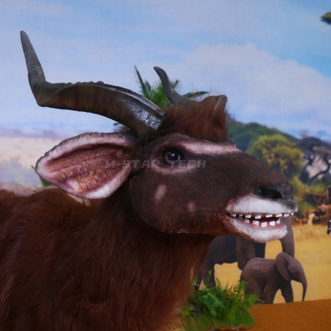 Nyala