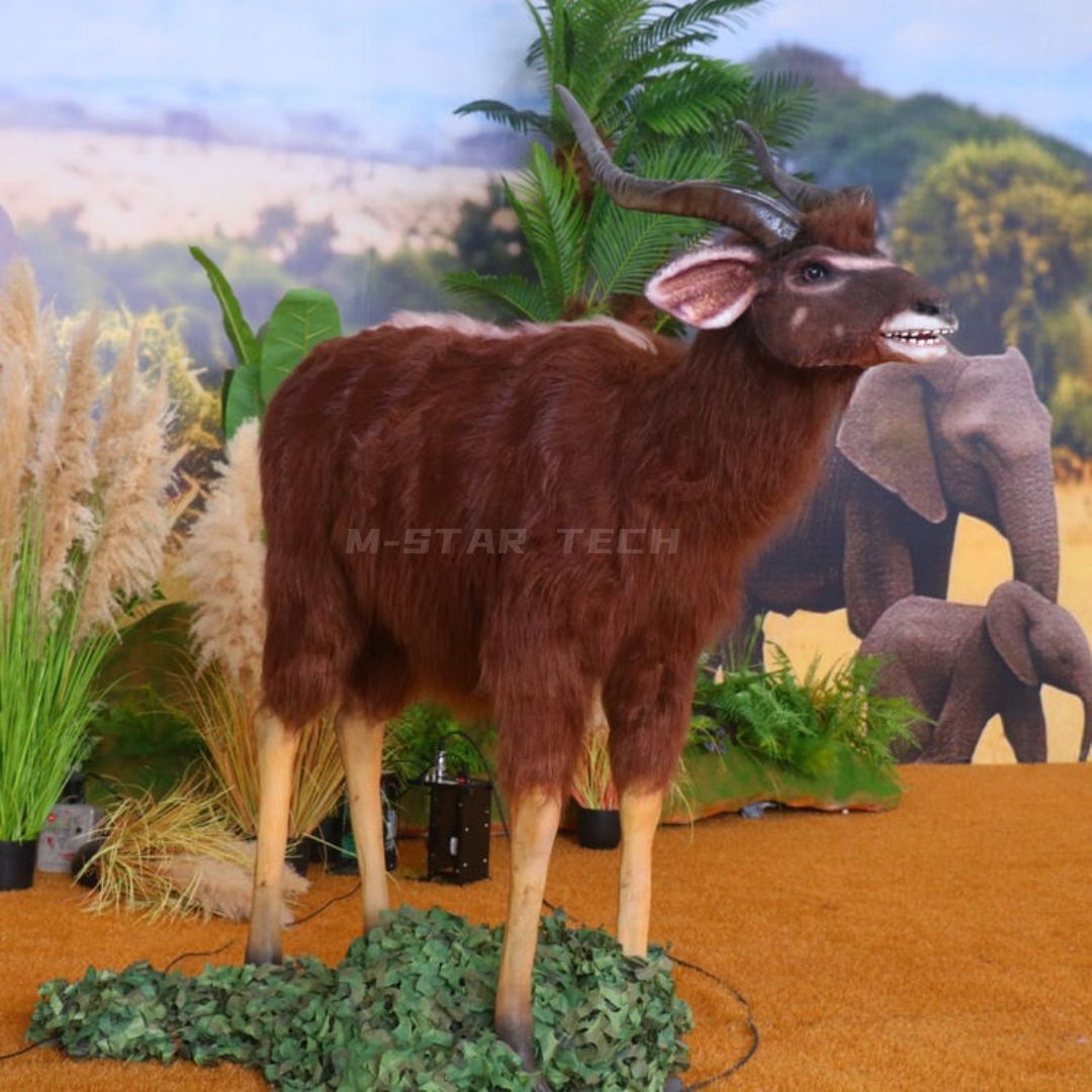 Nyala