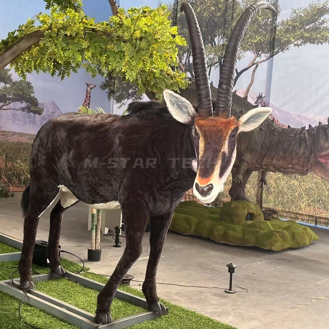 Sable Antelope
