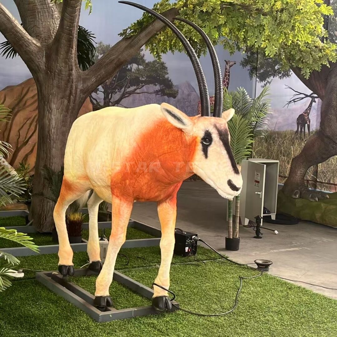 Scimitar-horned Oryx