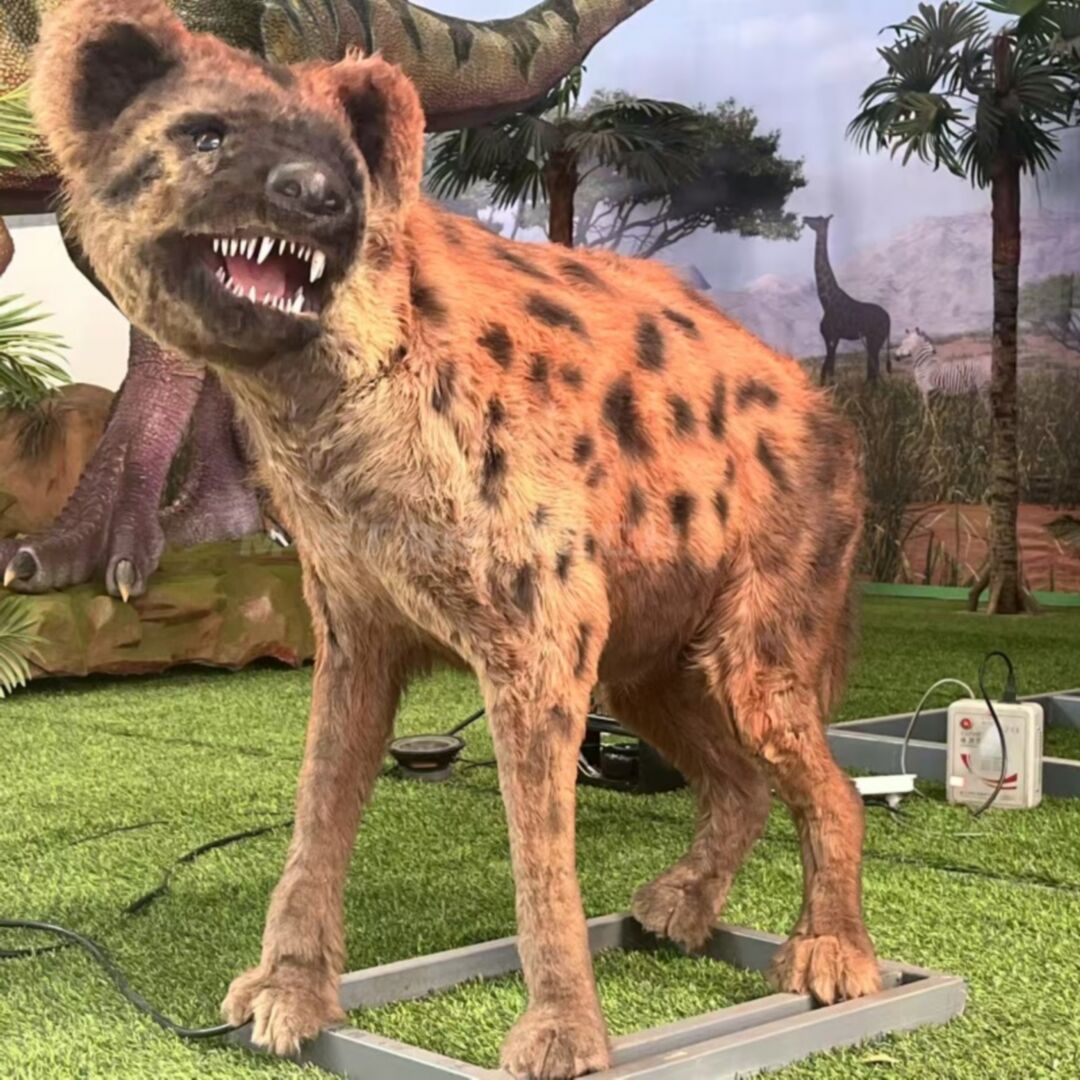 Spotted Hyena