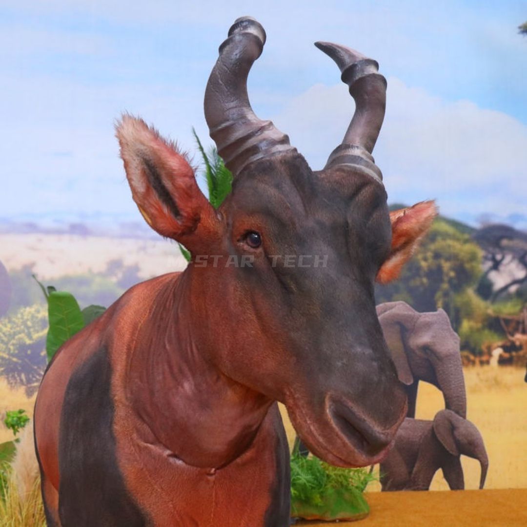 Topi Antelope