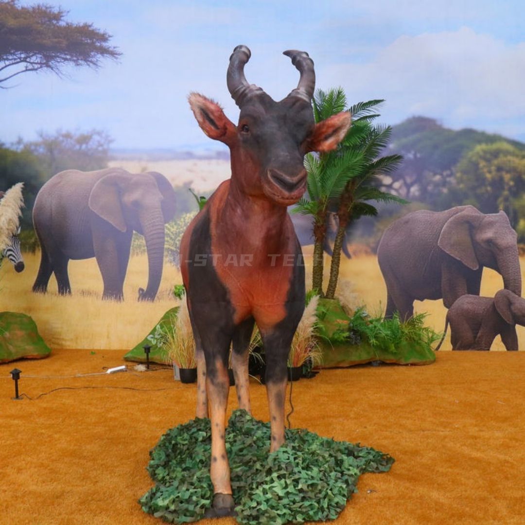 Topi Antelope