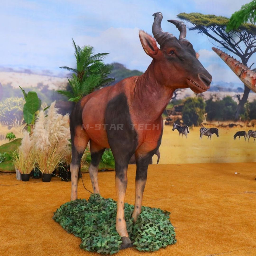 Topi Antelope
