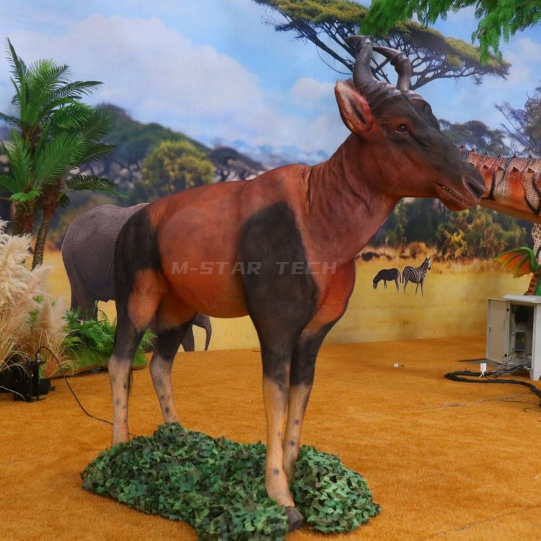 Topi Antelope