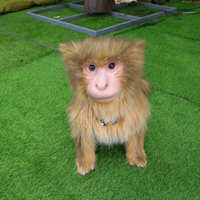 Customized mechanical dog - dinosaur toy