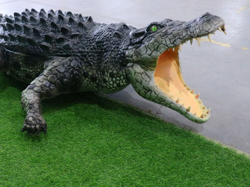 crocodile
