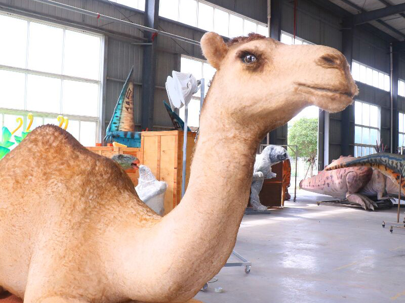 camel