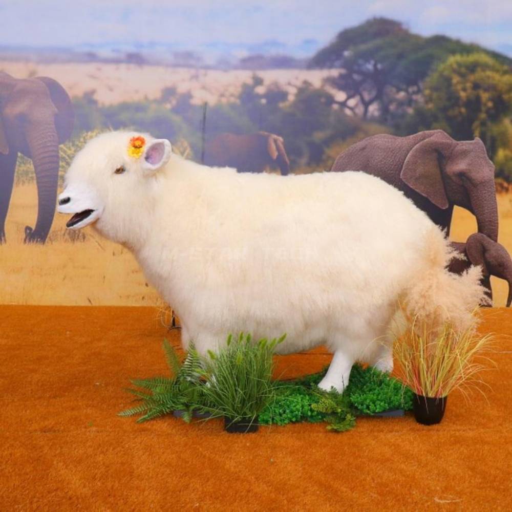 Animatronic Sheep