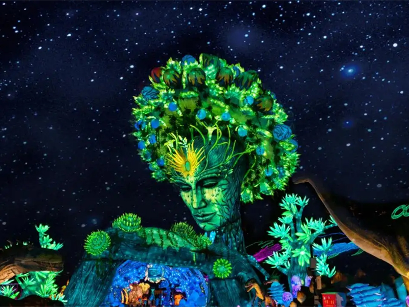 Chinese Lantern Show